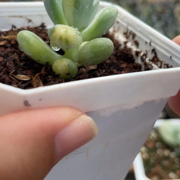 爰*945韩奶锦啊啊啊啊啊啊啊啊