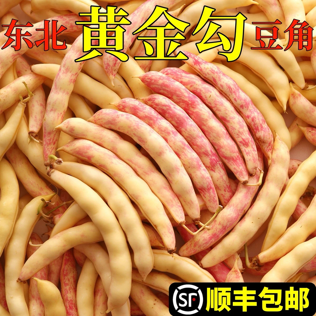 新鲜东北特产勾豆角豆粒饱满