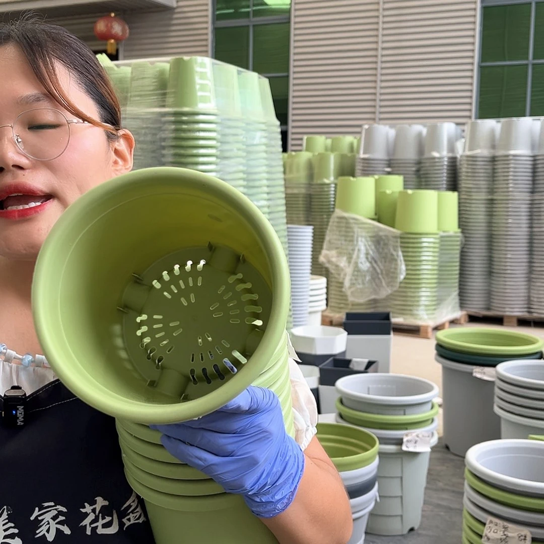 四季盆2#果绿色10个无托