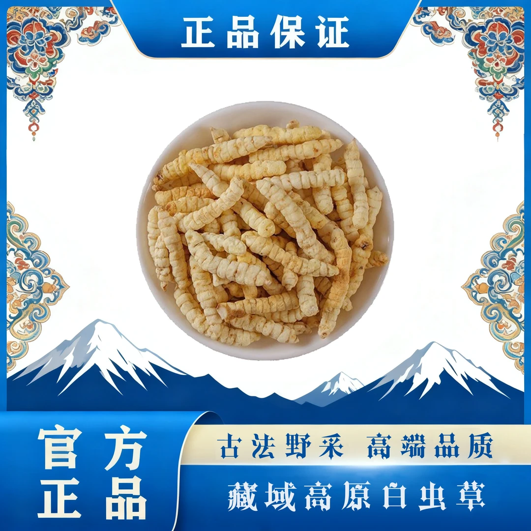 西藏高原原生白虫草干货