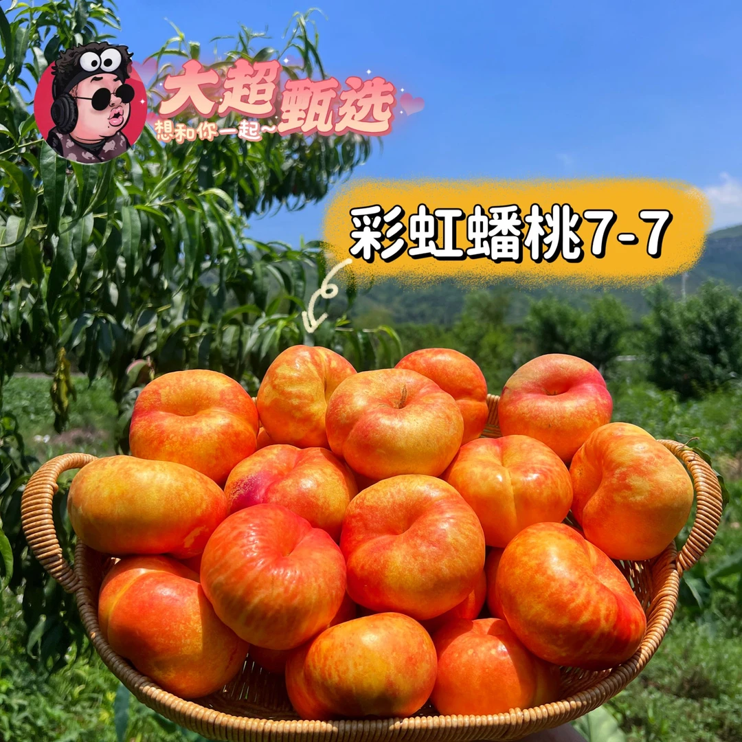 【段大超推荐】山东蒙阴彩虹油蟠桃7-7净重3/4.5斤装  京东包邮