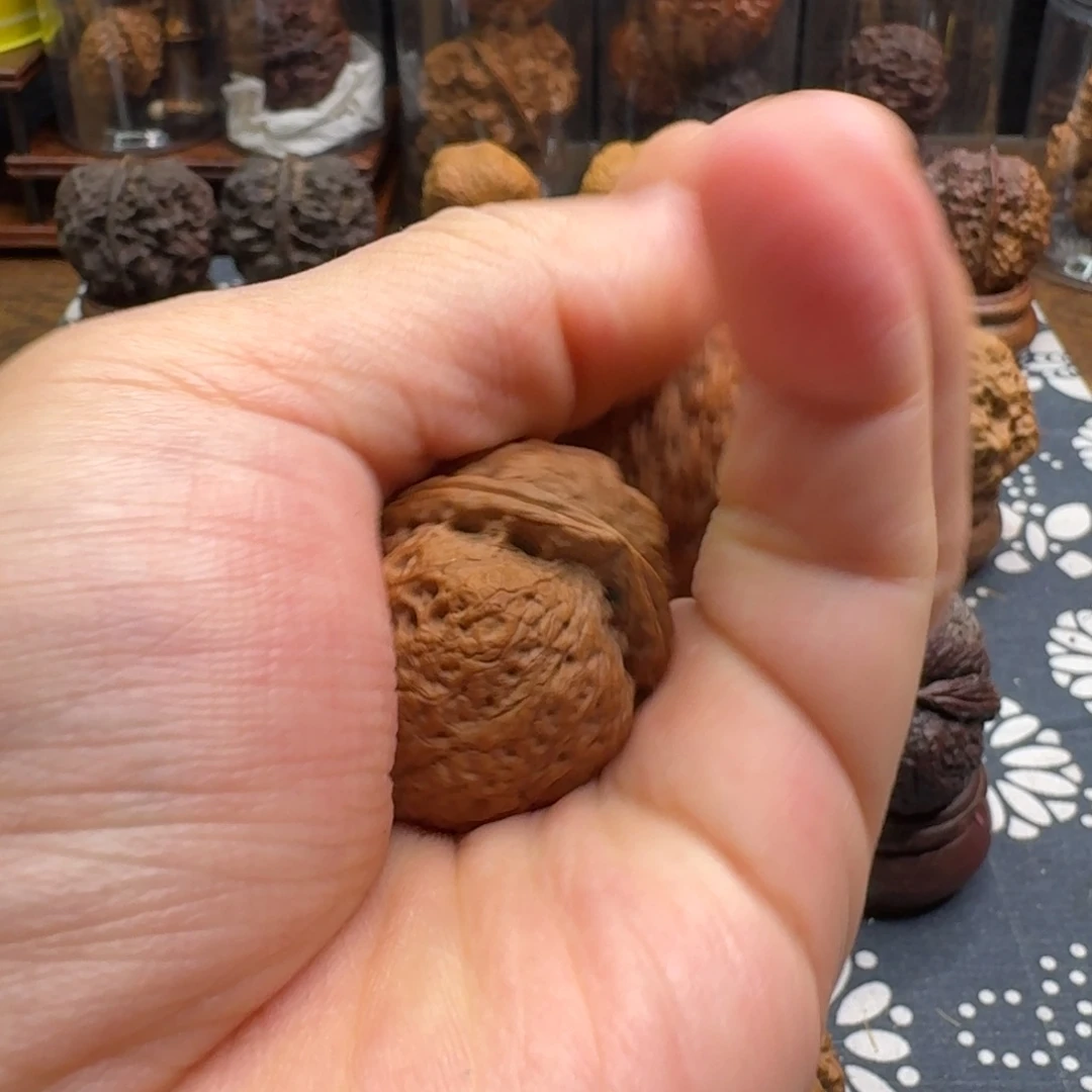 文玩核桃把件初*粗筋元宝