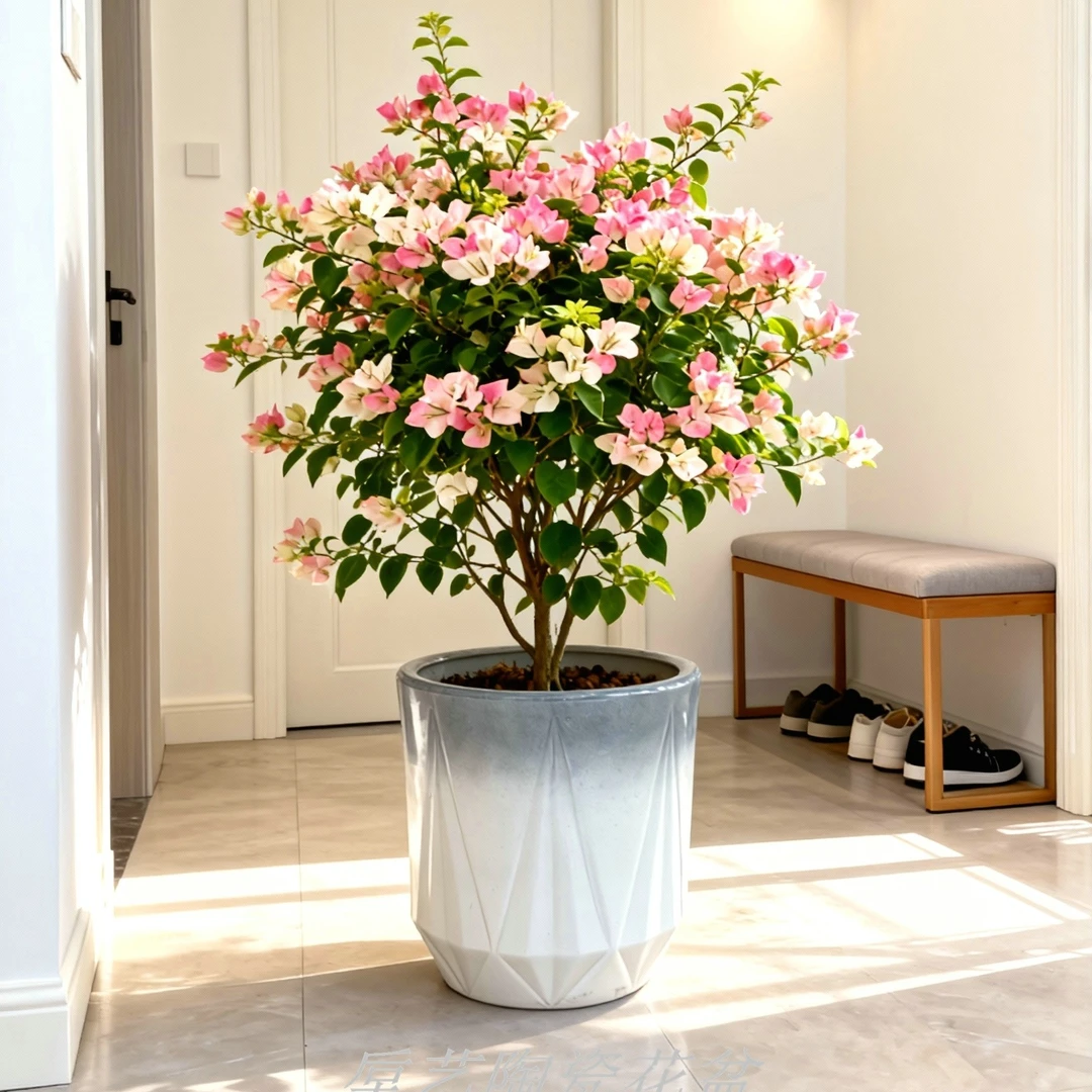 菱形钻石陶瓷落地花盆渐变灰绿植客厅阳台清新轻奢种龙血树室内外