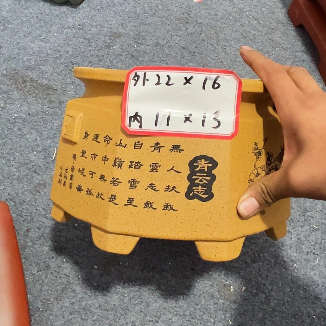紫砂其他紫砂花盆