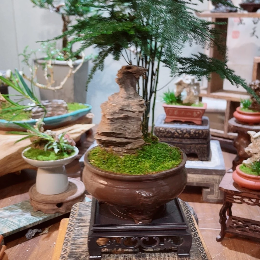 在***边完全开放0000000000002