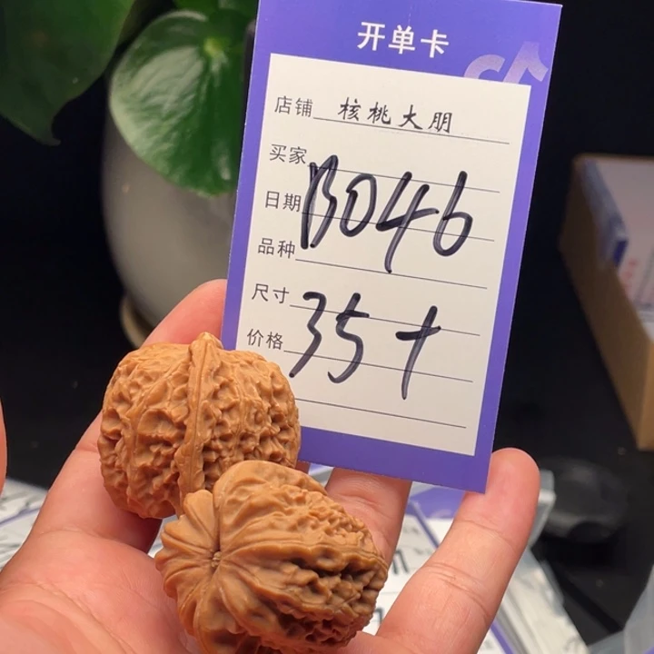 核桃狮子35尺