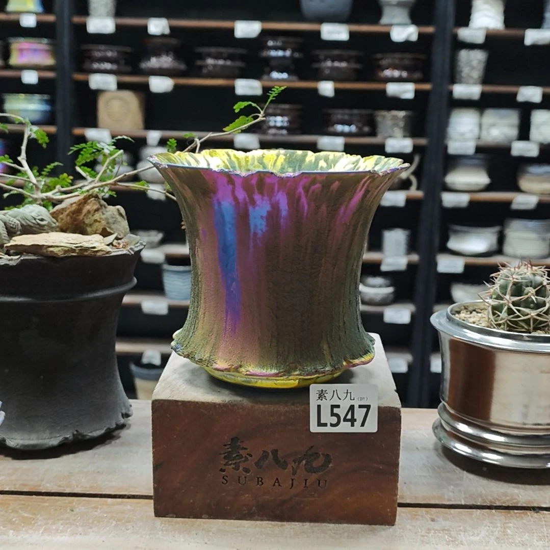 瓷素八九同学内口16高14