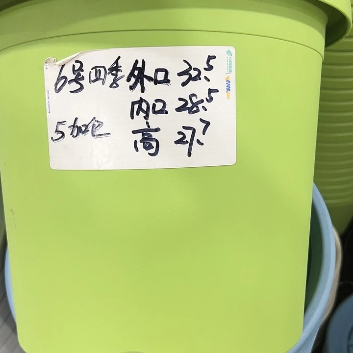 特价6号口32.5高27白色7只无托