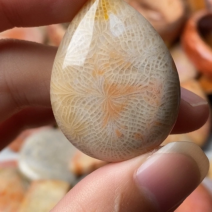 北***风硅化珊瑚未镶嵌颈饰