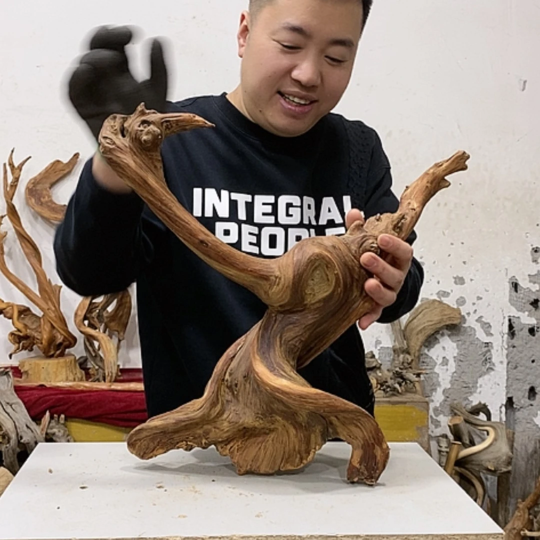 【闪购商品】柏木洋****术我们都是好孩子