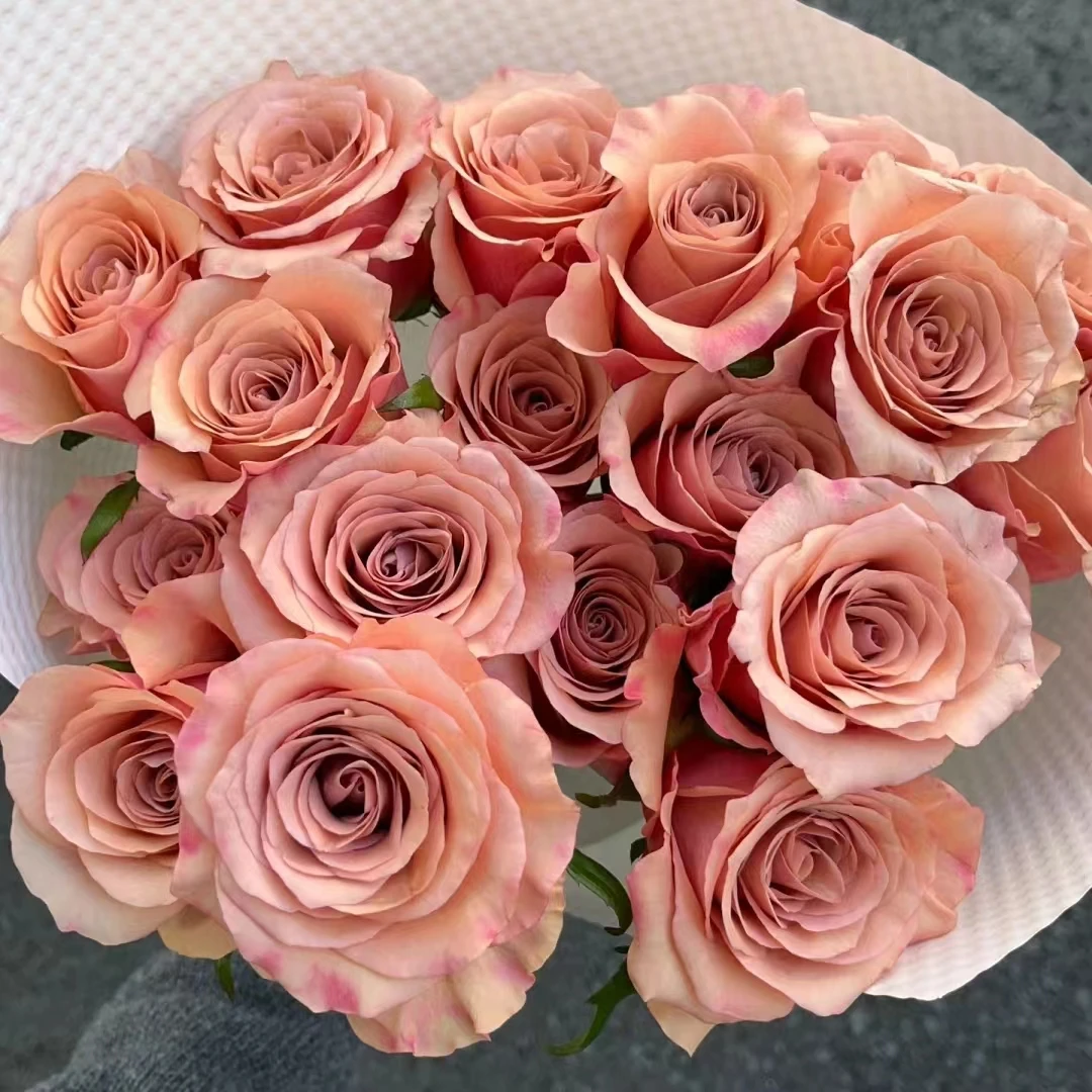 莫泊玫瑰18支+2支防损 收到先醒花拍1单发中通2单升级快递