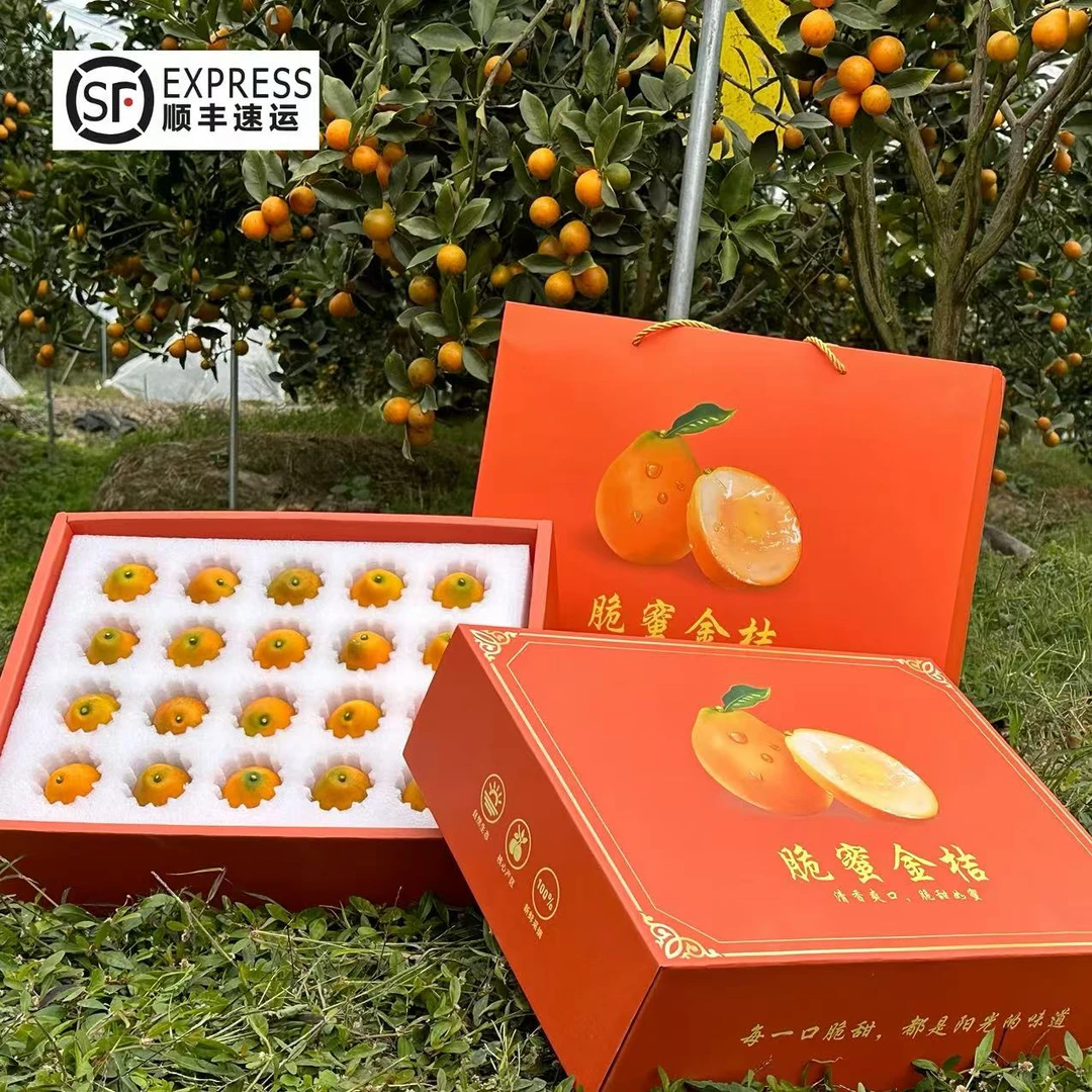 融安脆蜜金桔4斤礼盒装果园新鲜采摘顺丰京东包邮