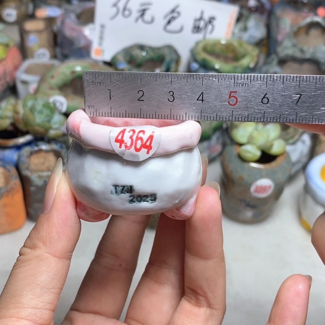 拍3送一个小礼物