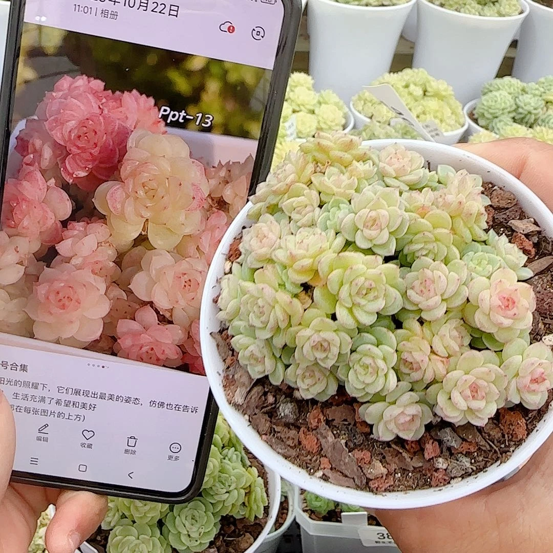 1027-46（ppt-13）优选