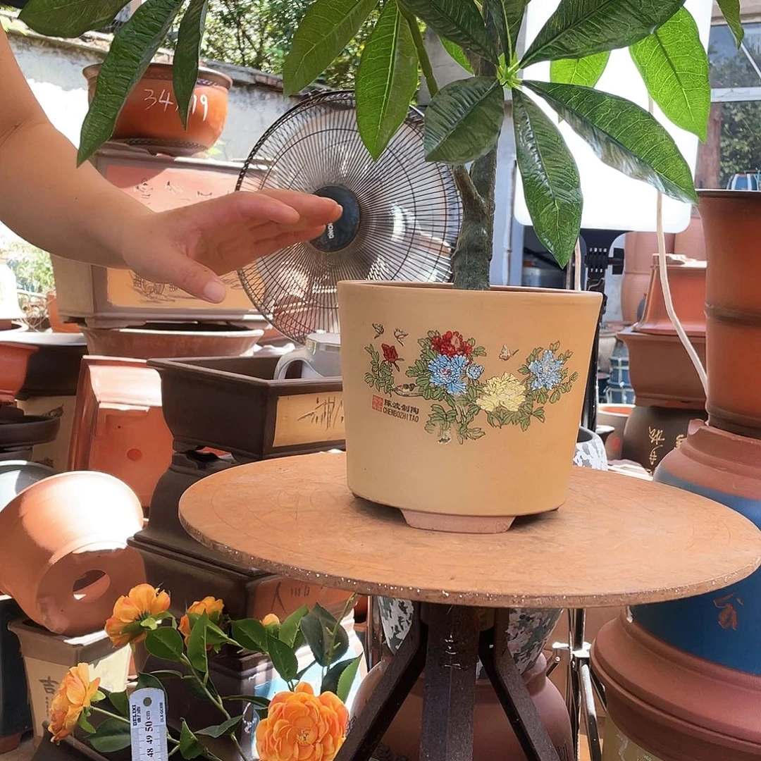 花开富贵中号一个花盆紫砂