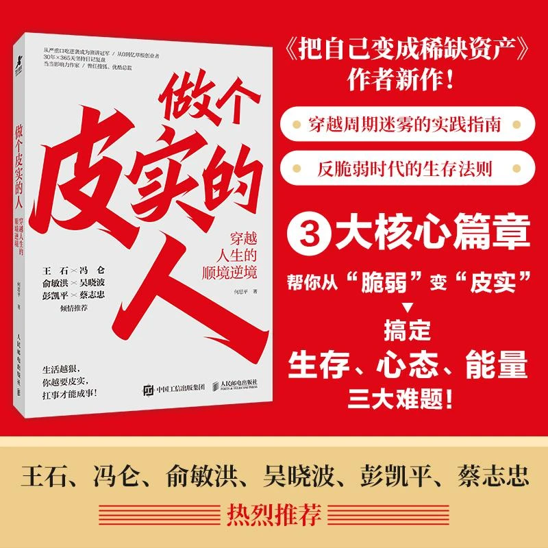 做个皮实的人：穿越人生的顺境逆境 何思平著任性成功励志书籍