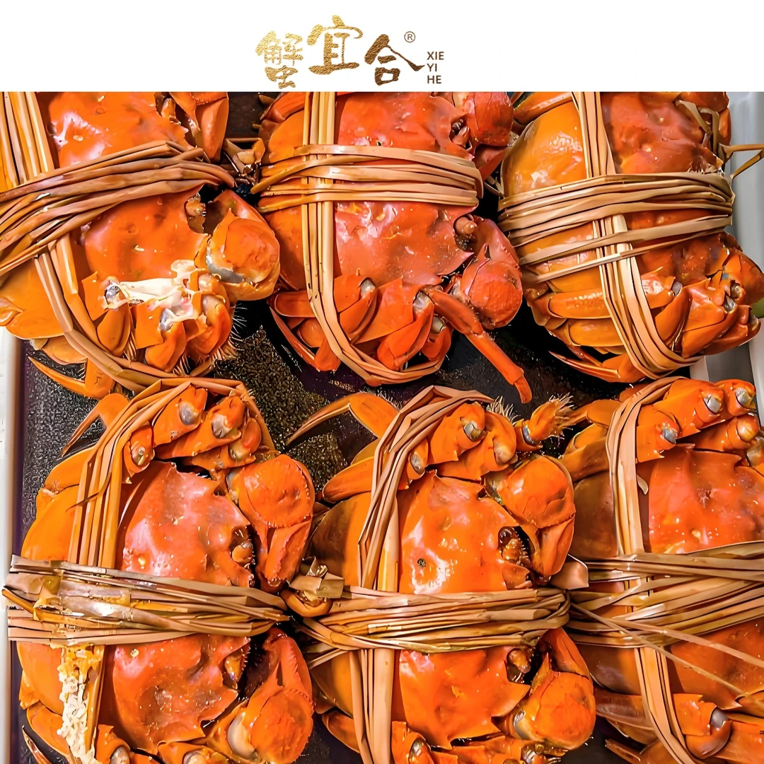 【活蟹】江苏精品大闸蟹 2.5两母蟹 4对8只 冷链包邮现发