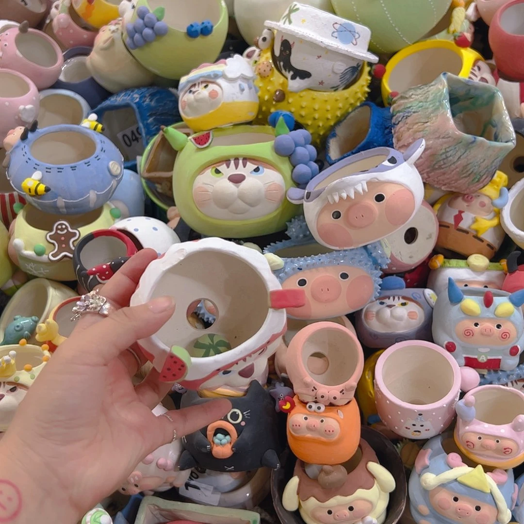 Z限时福利 满百包邮