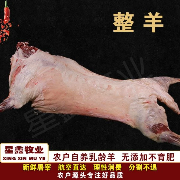 整羊-正宗农户自养宁夏滩羊/整扇/%腿排/斤