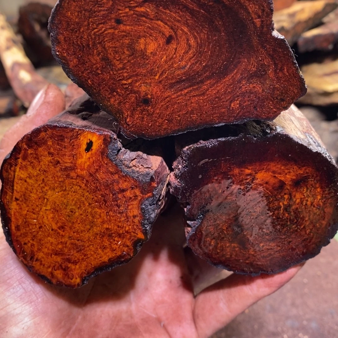 军***有机玻璃在线函数在一定