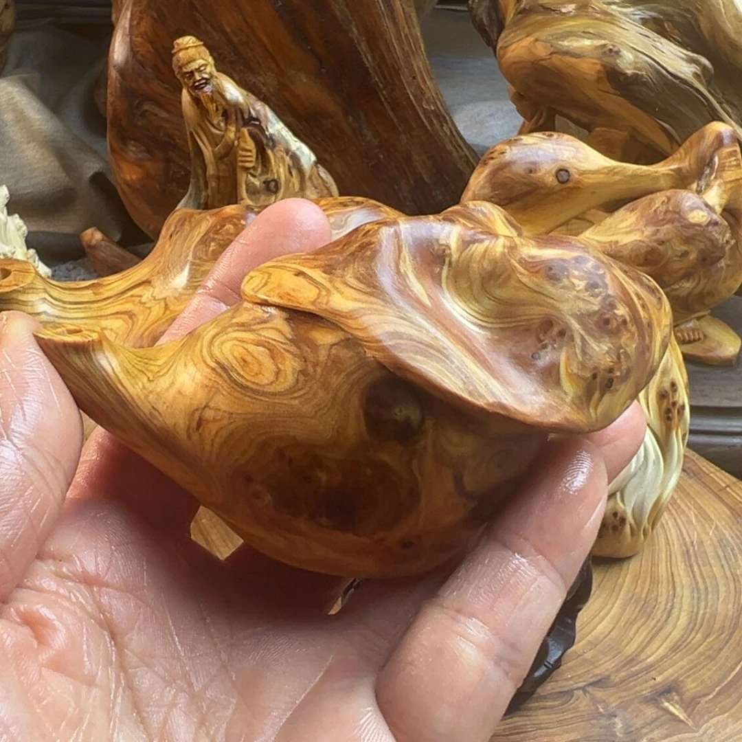 梁***馆柏木一物一拍11111111