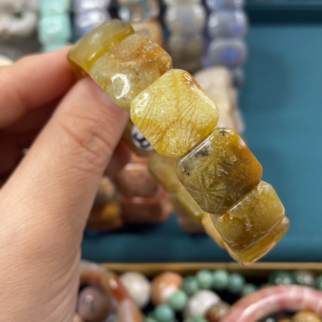 未镶嵌手镯硅化玉