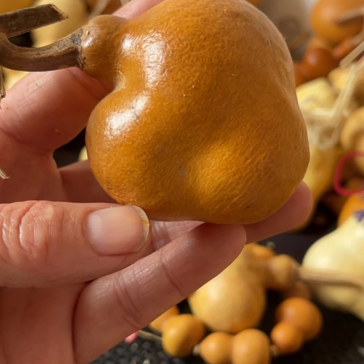 黑****葫芦葫哈哈哈哈哈哈哈哈