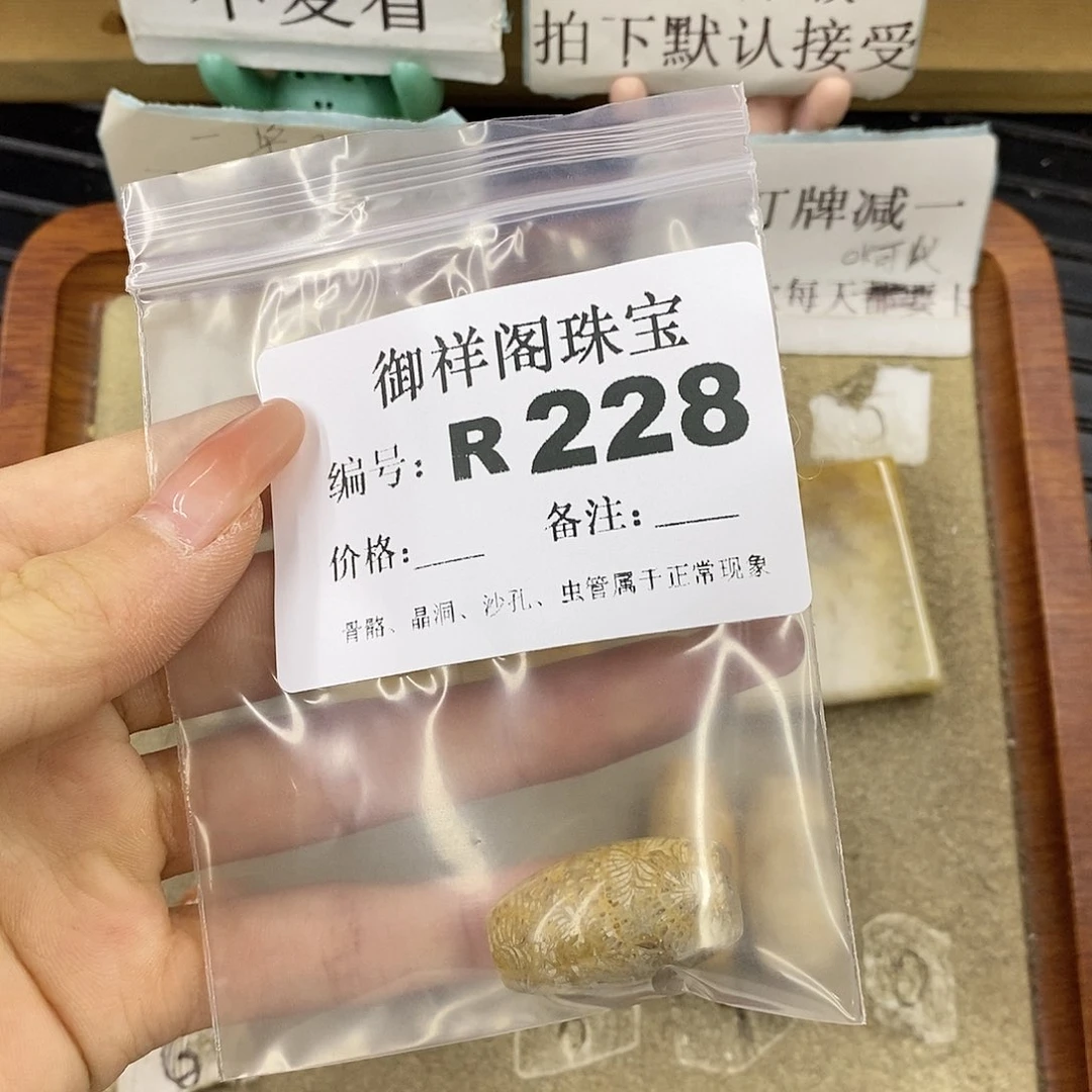 硅化珊瑚（珊瑚玉）未镶嵌颈饰?****包