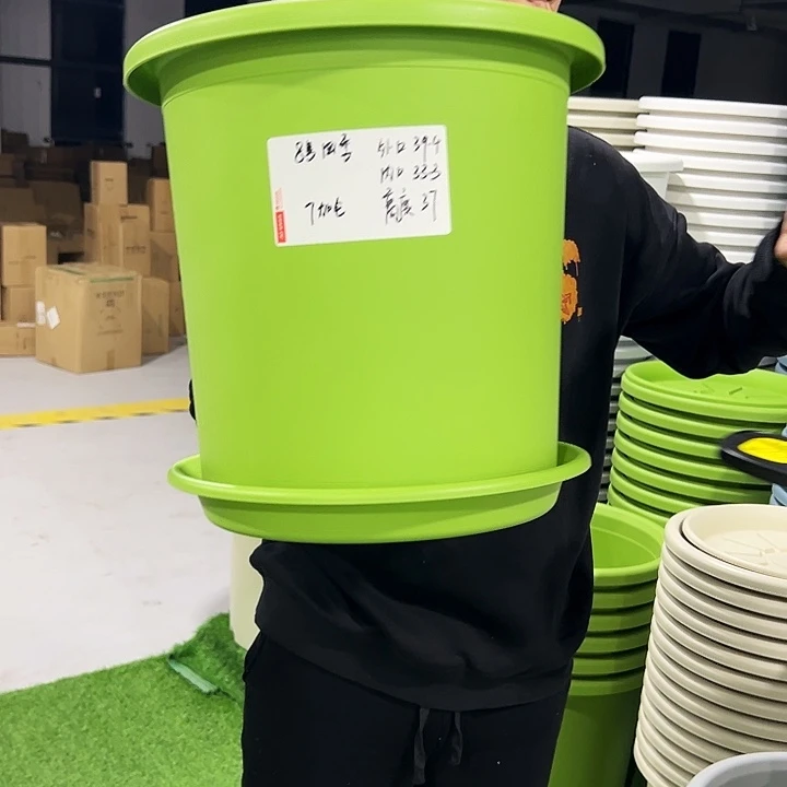 特价8号口39高37果绿色3只带托