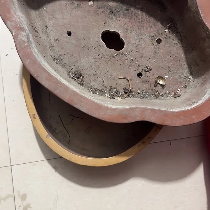 香榧木随**欲Cduggjjgfbjfbjjb