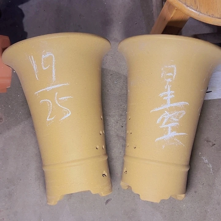 周深周深周深周深