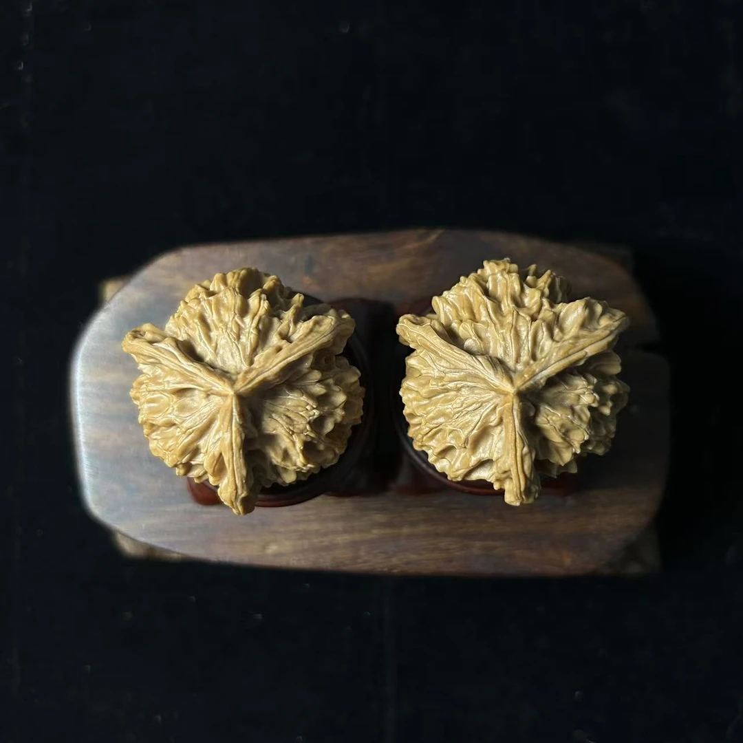 全品打底盘山三棱--D084