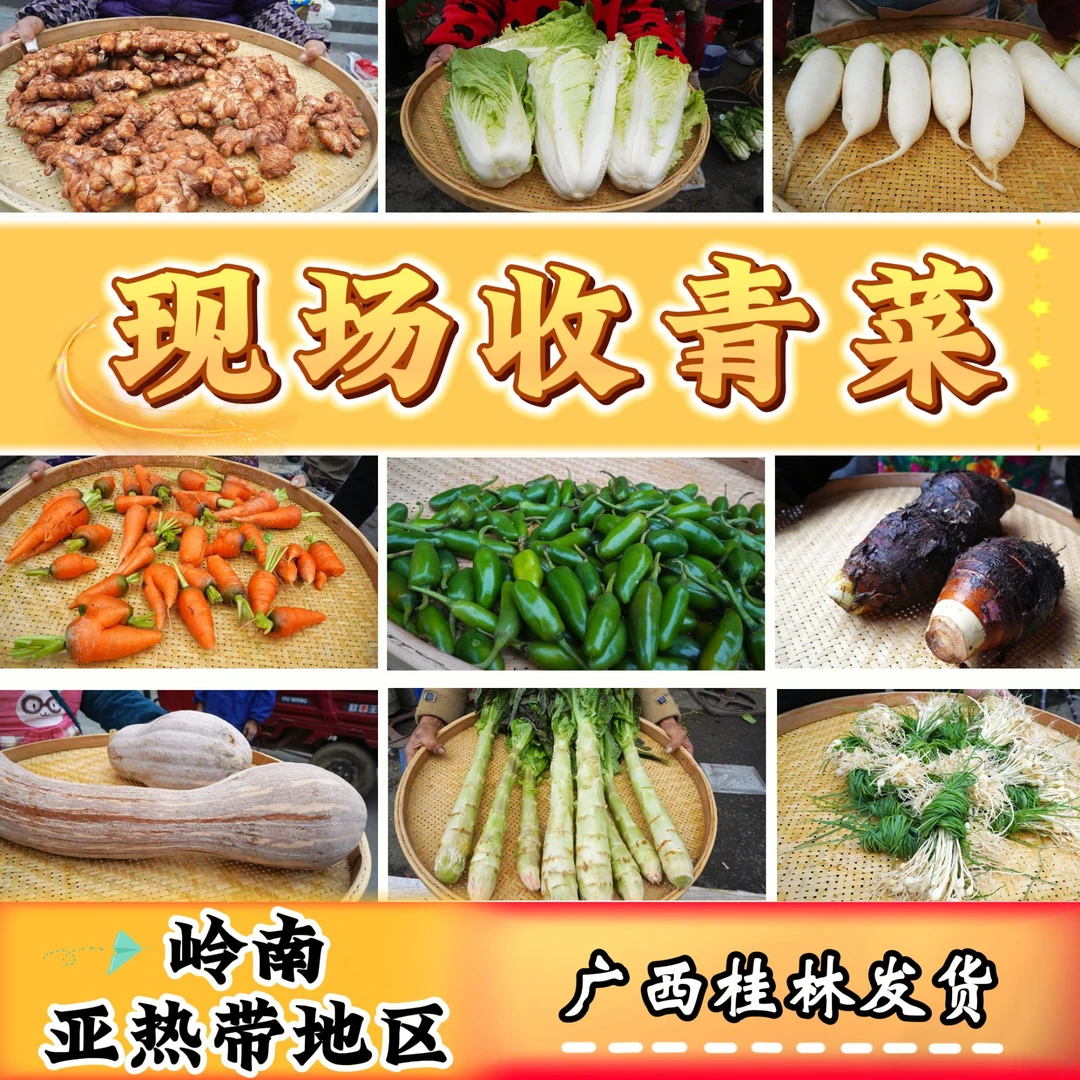 【一村一品】赶集专用农民自种青菜临时链接