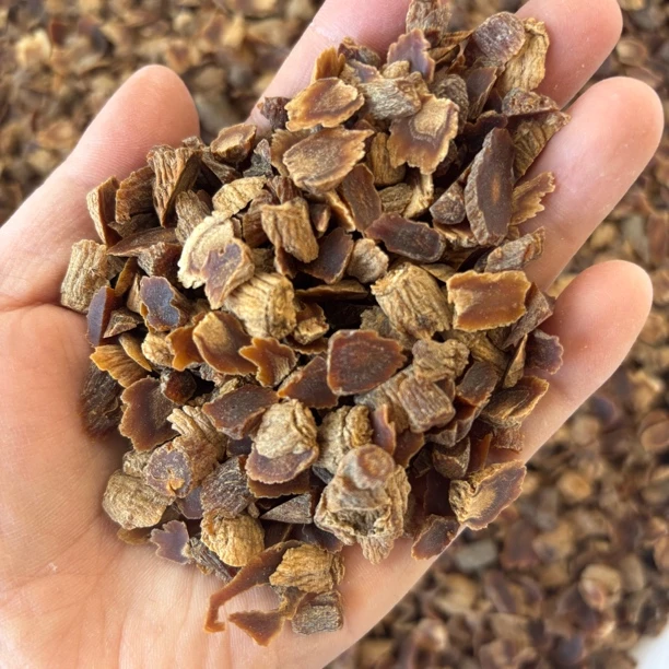 高丽参头尾片 韩种一代高丽正高丽