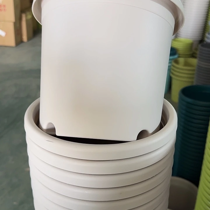 微瑕4#灰白8个无托