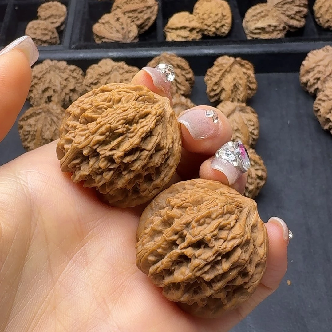 桃木突突突突突突突