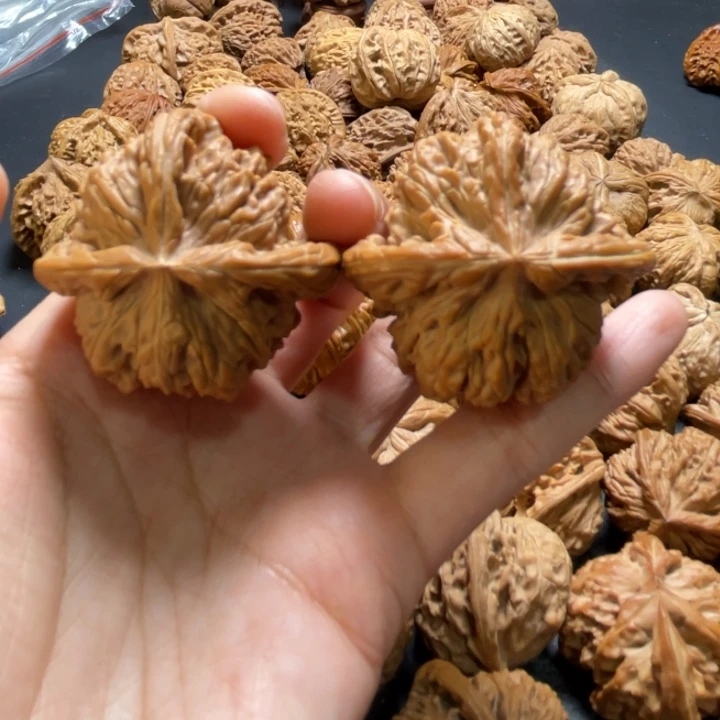 四座楼丁字奔43尺寸核桃哈哈哈哈哈哈哈