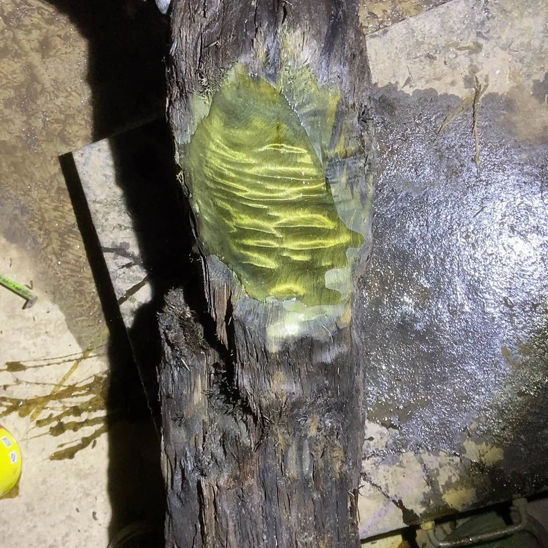 金丝楠阴沉木毛料