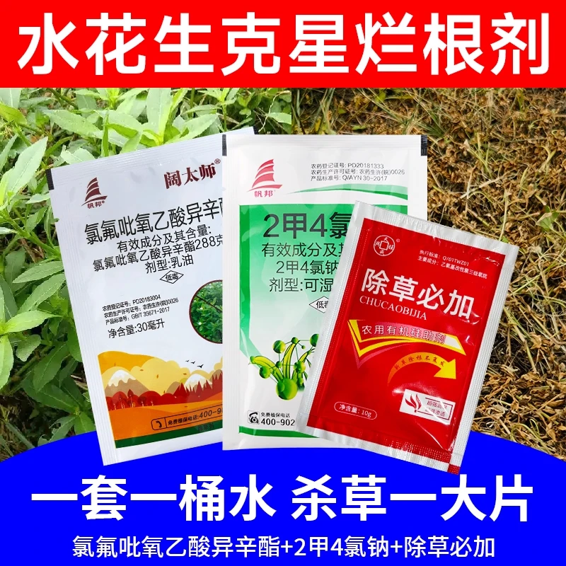水花生克星烂根剂强力除草烂根剂专除杀革命草莲子草水葫芦专用药