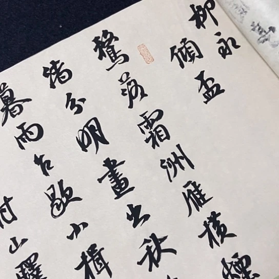 书法张建东老师书法作品