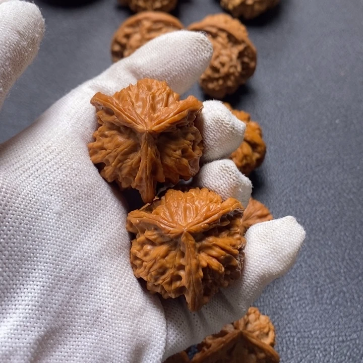 用***2盘山三棱得得得得得