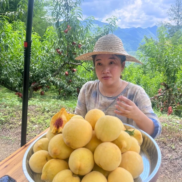 湖南攸县高山果子顺丰包邮