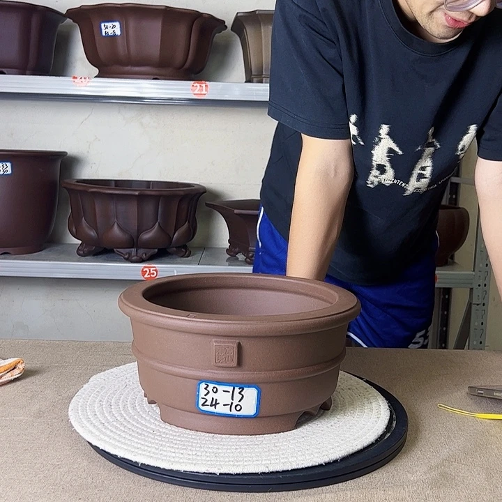 紫砂花盆恍恍惚惚