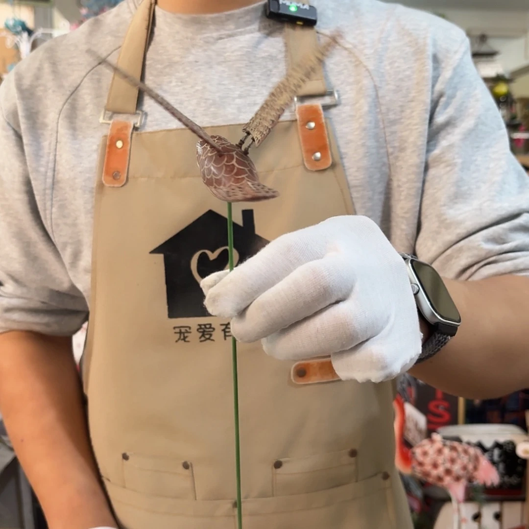 核桃木/黑胡桃（胡桃木）