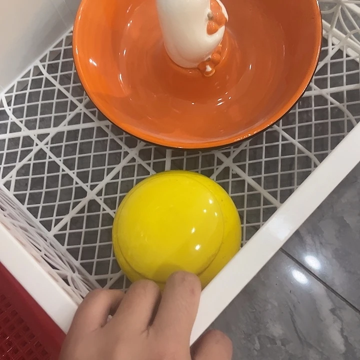 S***S满9.9包邮 微瑕陶瓷