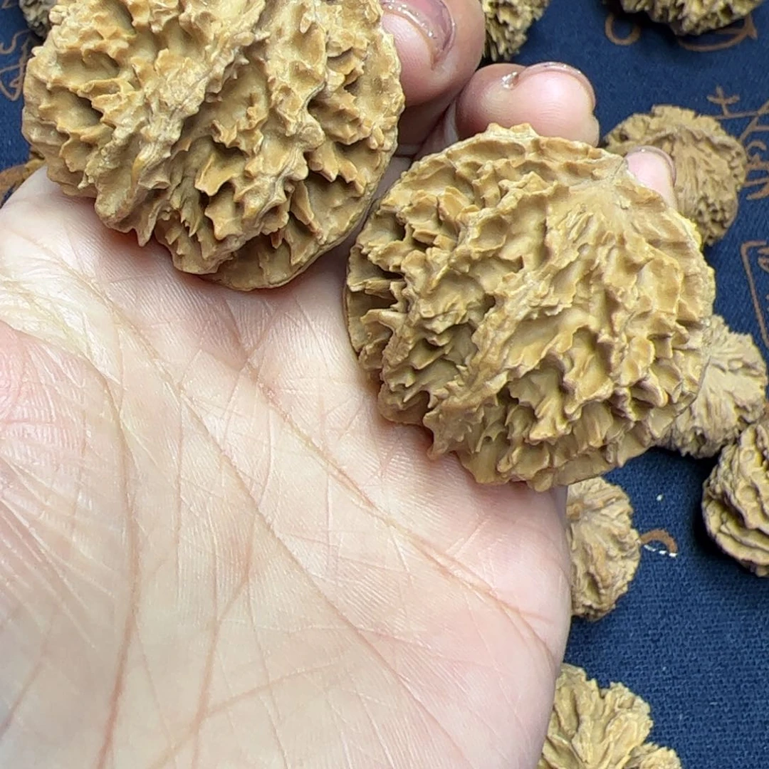 文玩核桃把件秦岭野生植物核桃