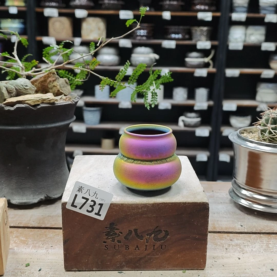 陶瓷素八九陶瓷内口4.5高6.5