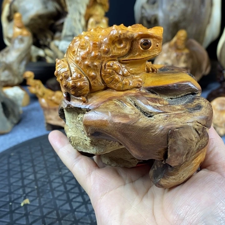 柏木崖柏崖柏崖柏崖柏崖柏