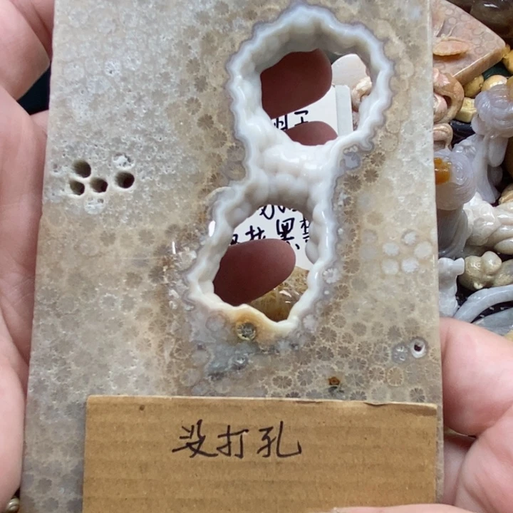 颈饰未镶嵌硅化珊瑚（珊瑚玉）有瑕