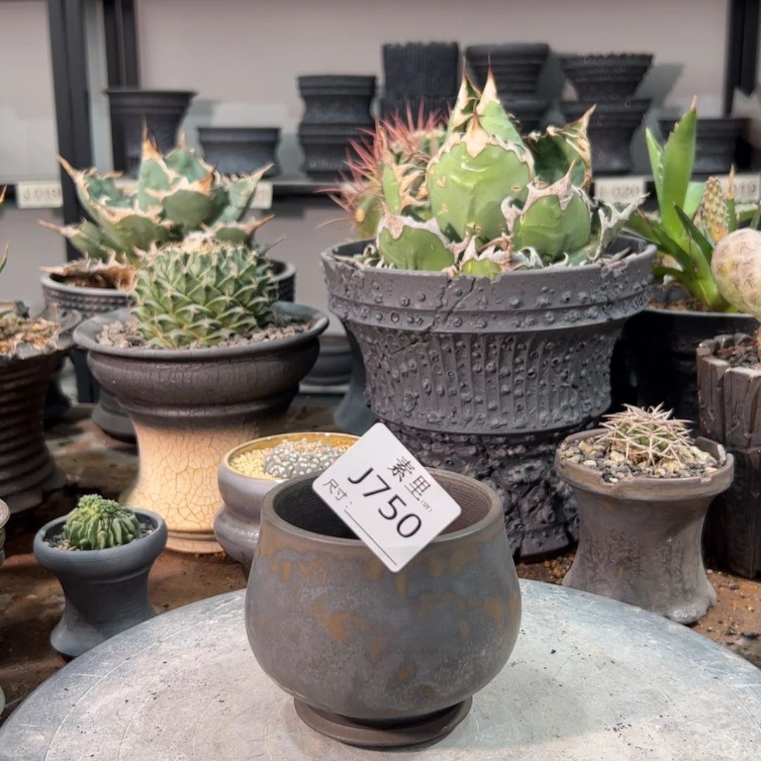 景德镇手工素里内口8高8